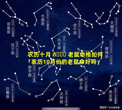 农历十月 🐘 老鼠命格如何「农历10月份的老鼠命好吗」